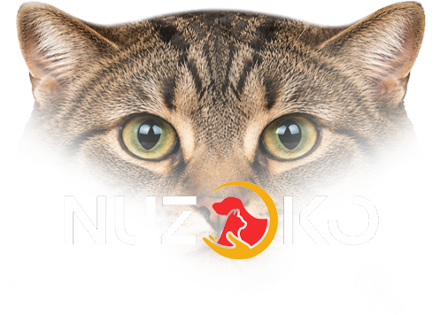 Nuzoko