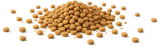 Nuzoko