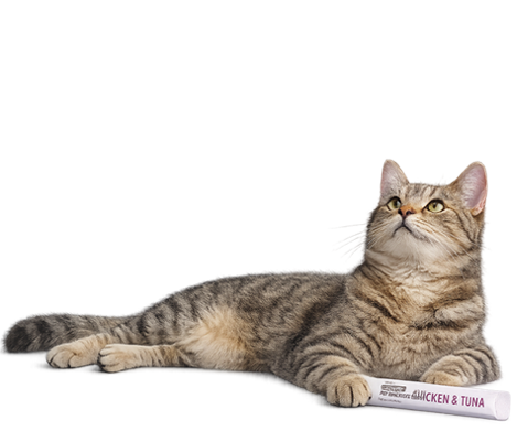 Pet Snacks