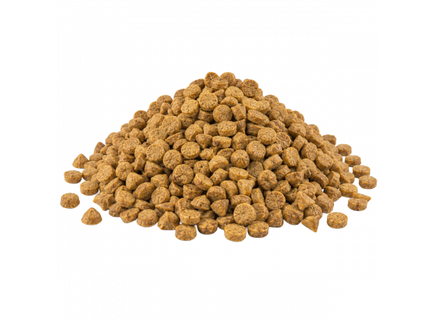 Complete & Balanced Baked Dog Food_Nuzoko