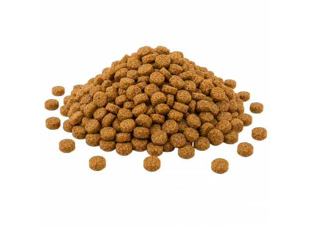Complete & Balanced Dry Cat Food – All Life Stages_Nuzoko